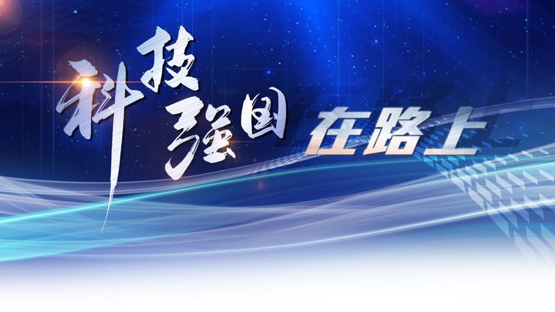 小企业如何构建坚实的网络安全防线？**